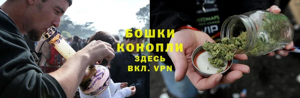метадон Вяземский
