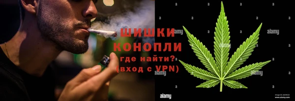 метадон Вяземский