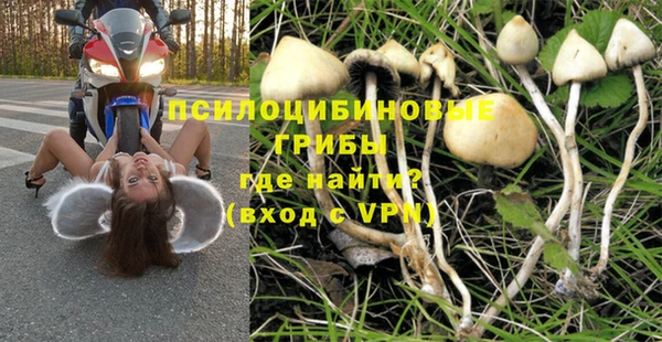 метадон Вяземский