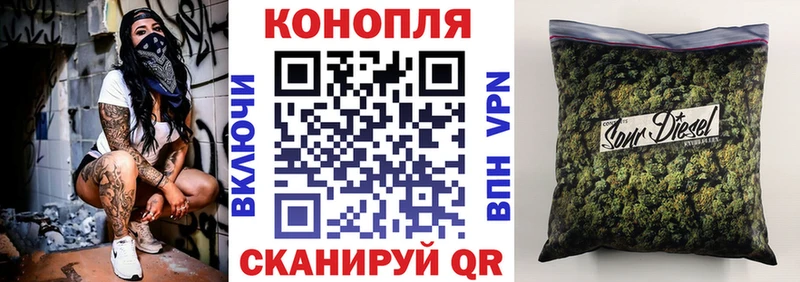 Конопля гибрид  Новомосковск 
